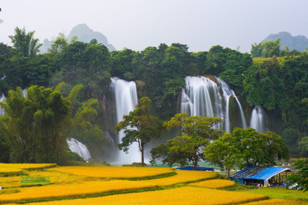 Rice Paddies near Ban Gioc